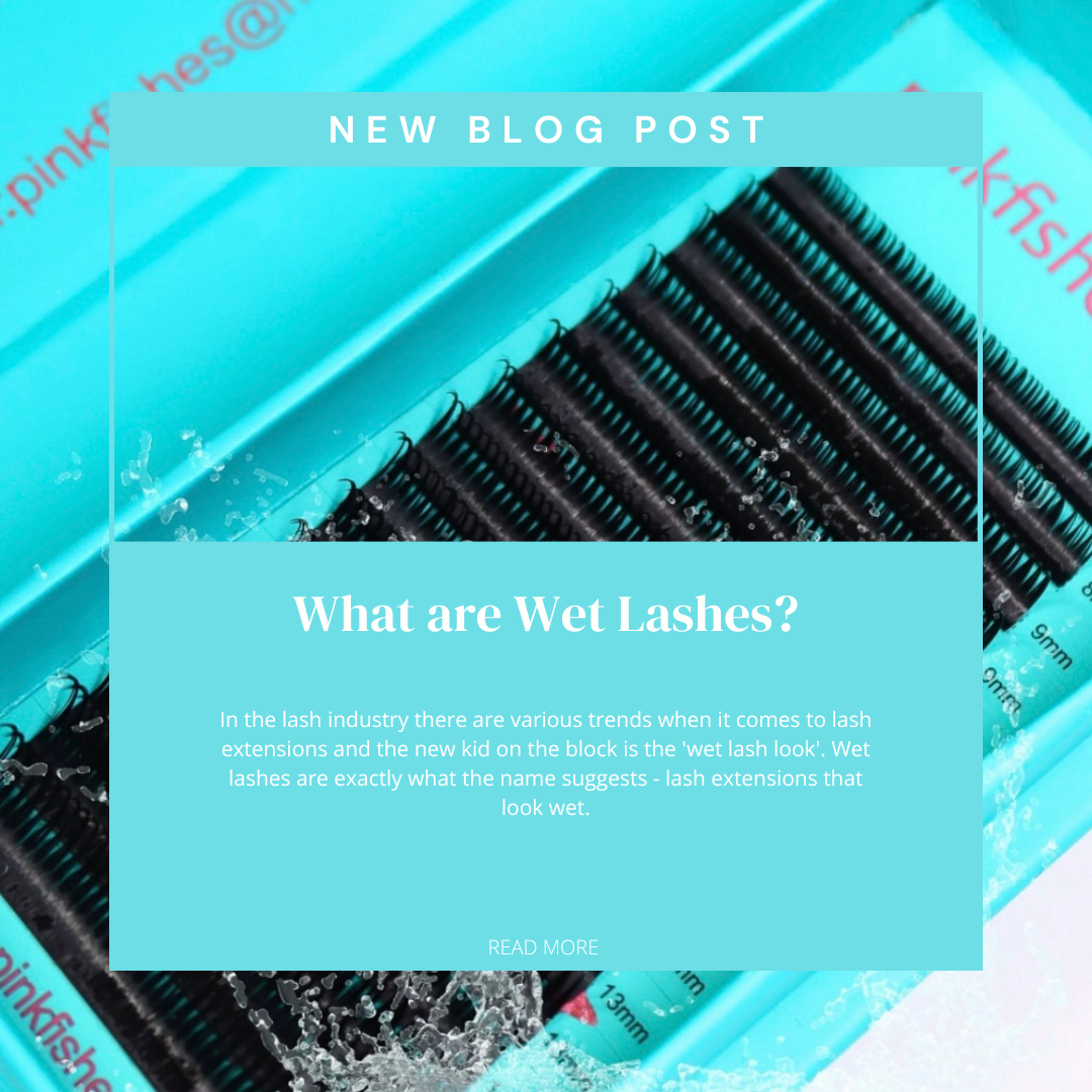 What are Wet Lashes?