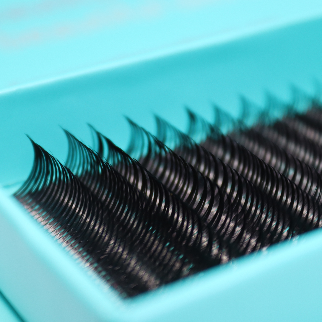 Wet Lashes