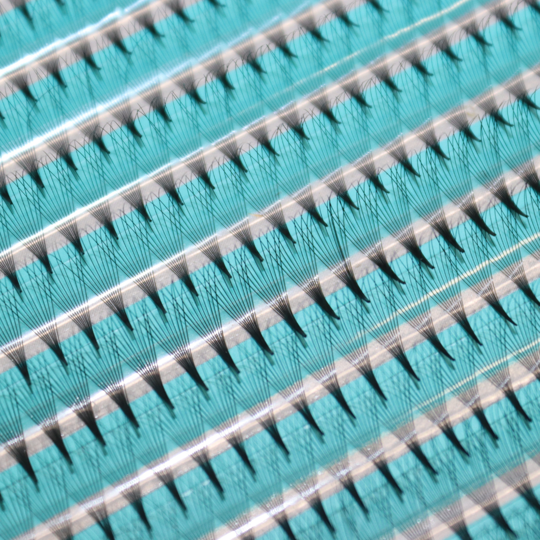 Pro-Made Book 2400 Fans (Limited Edition)