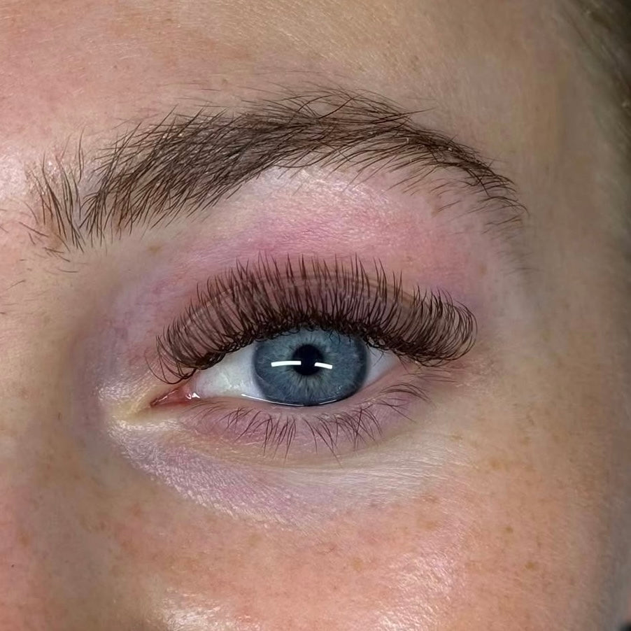 Dark Brown Double Classics