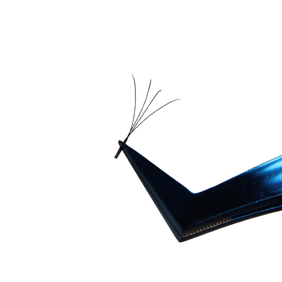 4D Neptune Lash Tray (Boxing Day)