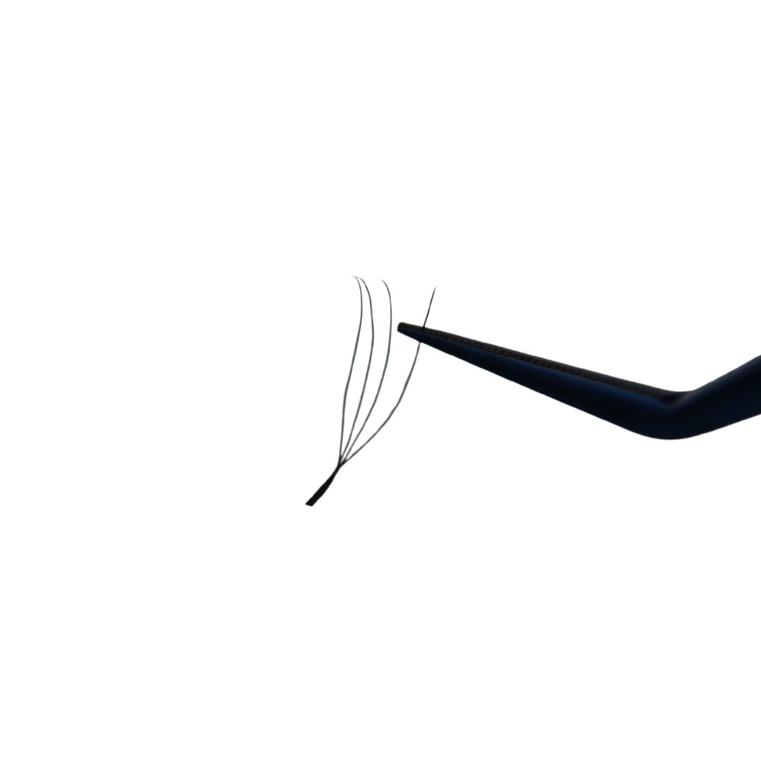 4DW UU Lash Tray (Boxing Day)