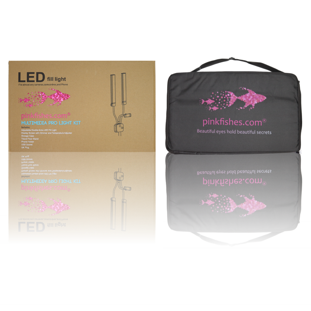 Multimedia Pro Light Kit