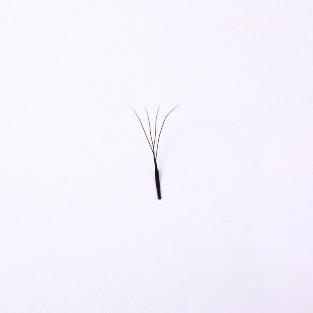 Narrow 4DW D 0.07 Lash Tray - Limited Edition