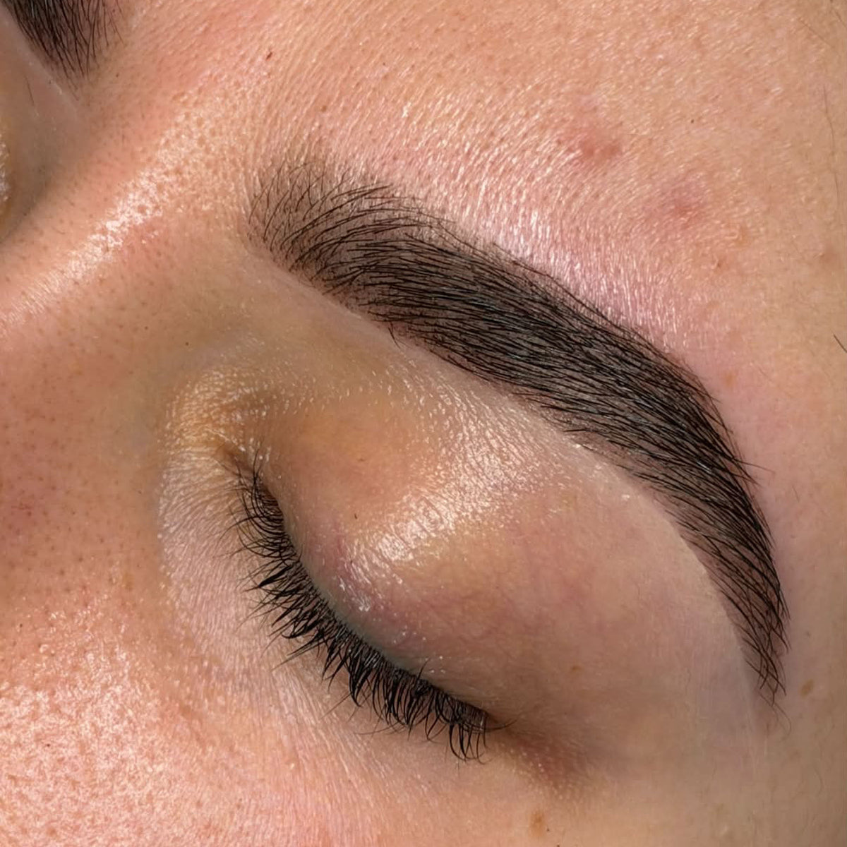 Hybrid Stain - Dark Brown