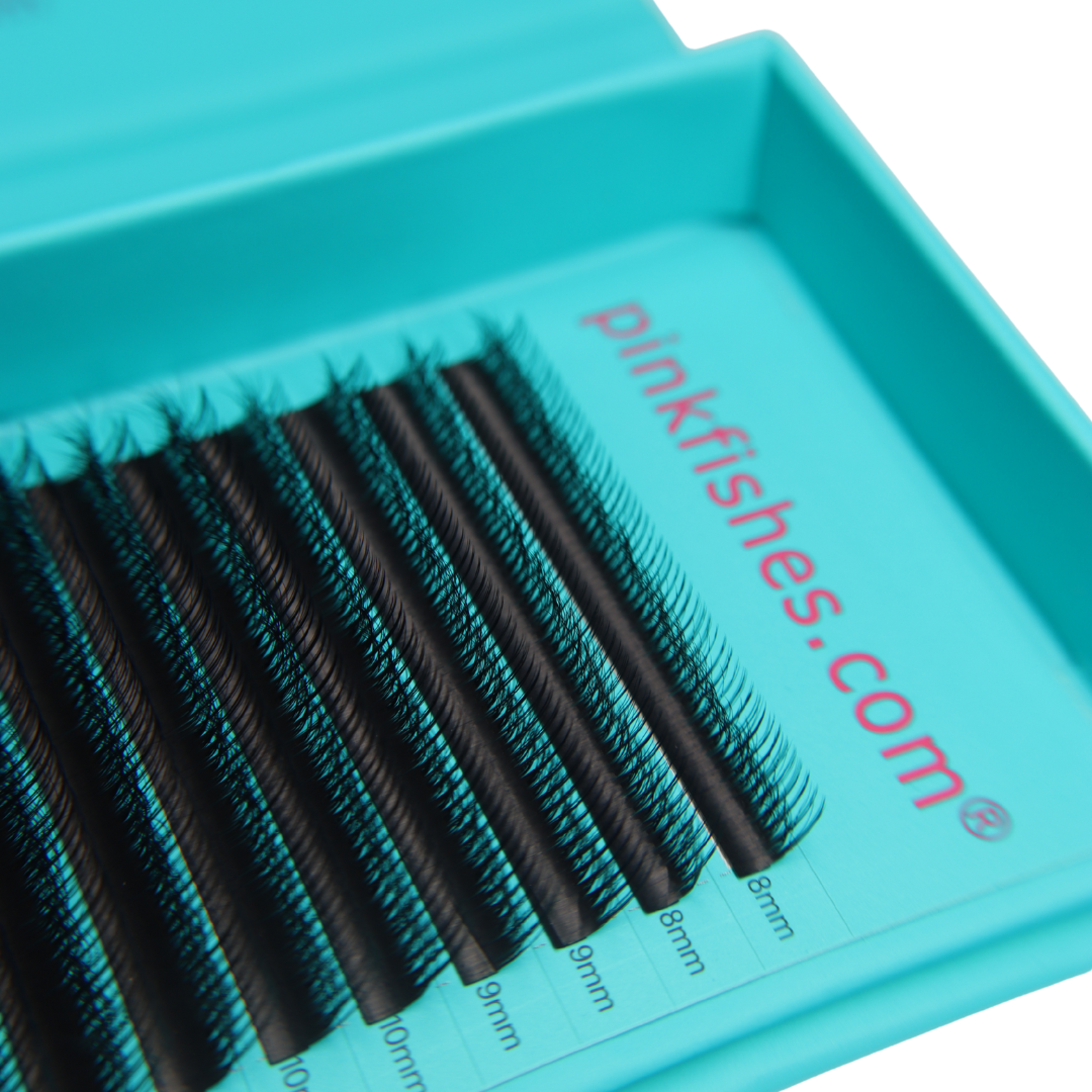 5D Multilayer Camellia (Boxing Day)