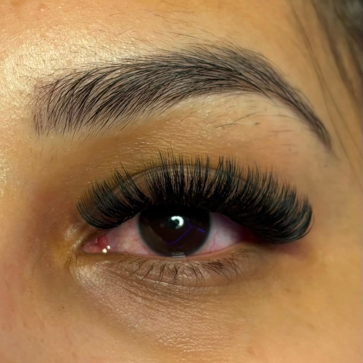 Russian Lash Tray 0.05