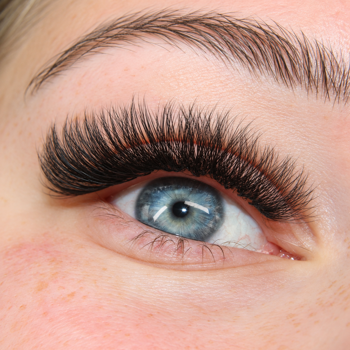 Loose Pro-Made Lash Box 6D