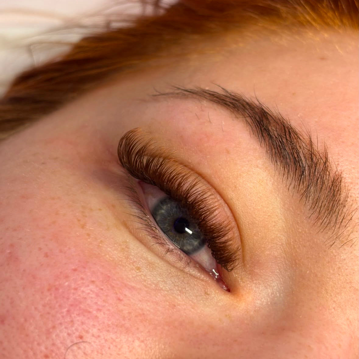 XL Brown Lash Tray 0.05
