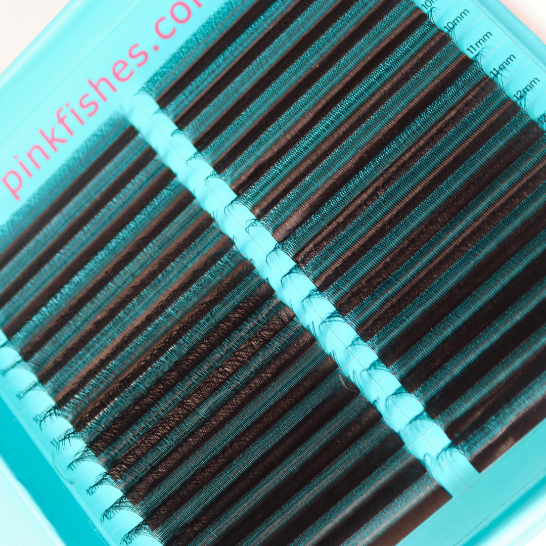 Clover 3D & 4D D Curl Double Tray (Clearance)