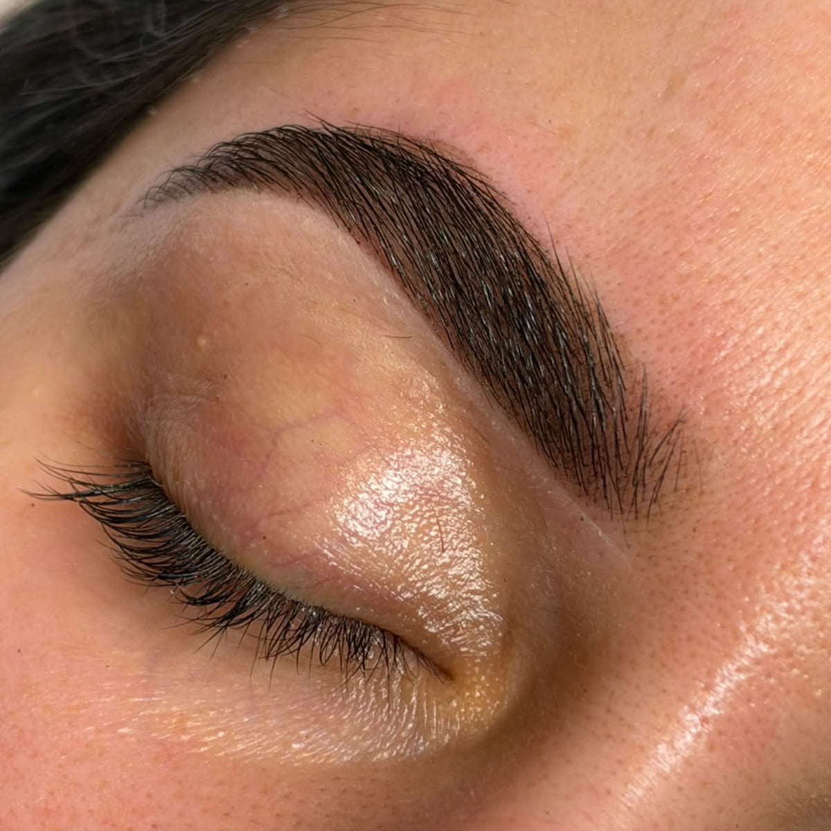 Hybrid Stain - Dark Brown