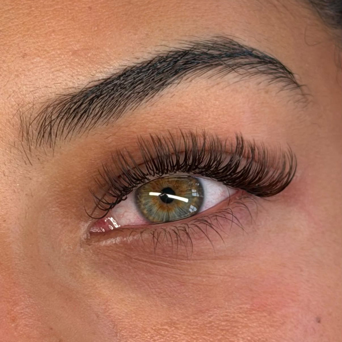 Easy Fan Dark Brown Lash Tray 0.05