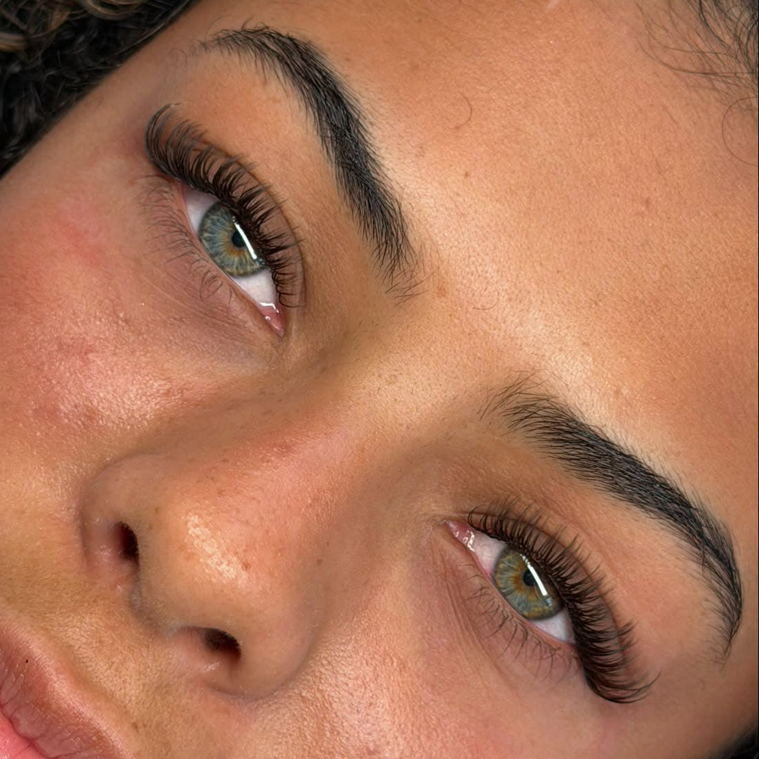 Easy Fan Dark Brown Lash Tray 0.05