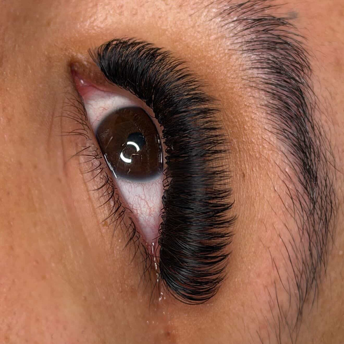 Russian Lash Tray 0.05