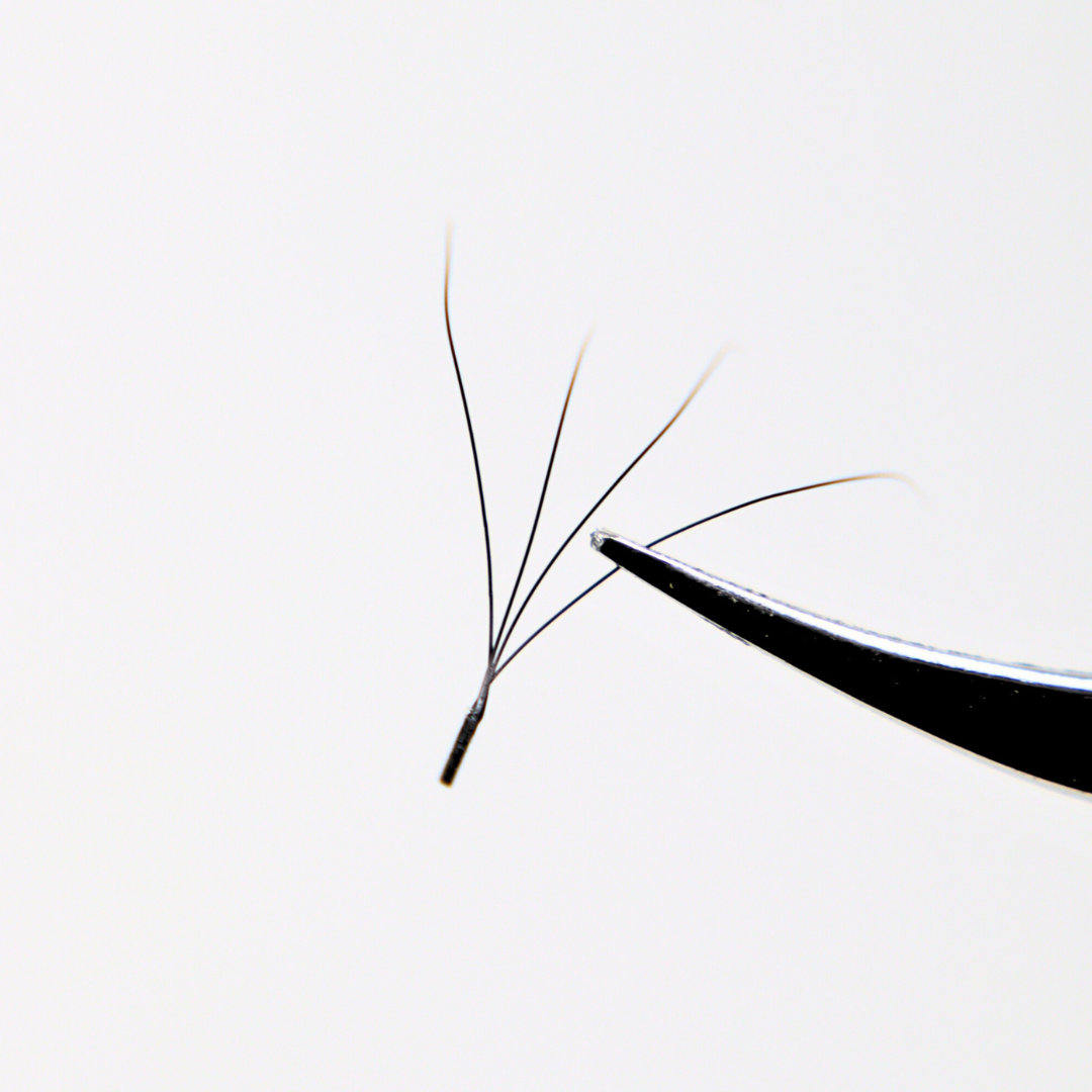 Clover Lash Tray (Boxing Day)