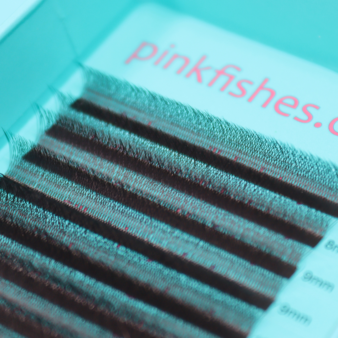 Clover Lash Tray (Boxing Day)