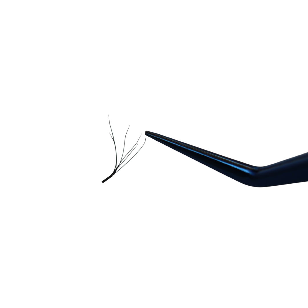 Double Layered 4DW Lash Tray (Boxing Day)