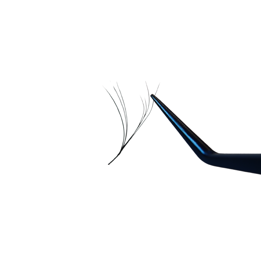 Double Layer YY (Boxing Day)