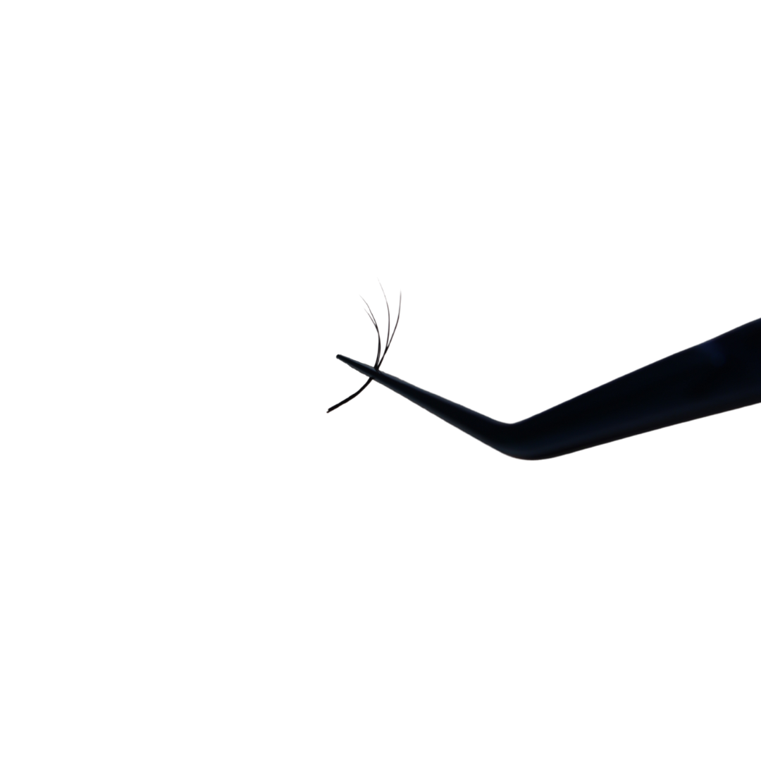 Double Layered Y Lash Tray (Boxing Day)