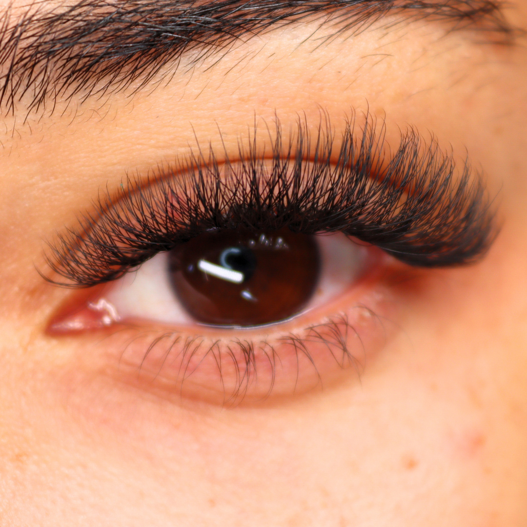 Clover Sample Lash Tray