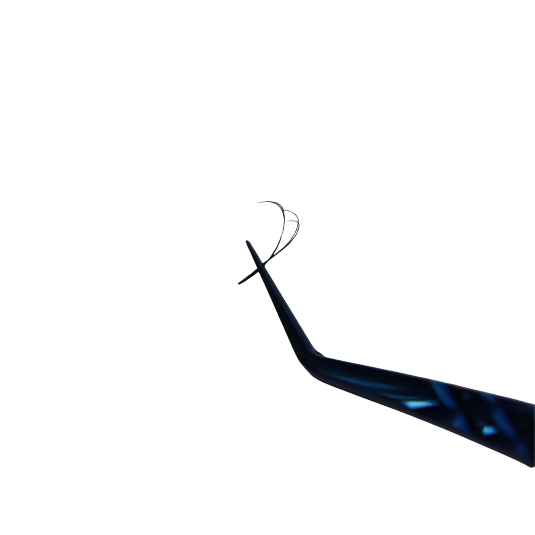 2D UU Lash Tray (Boxing Day)