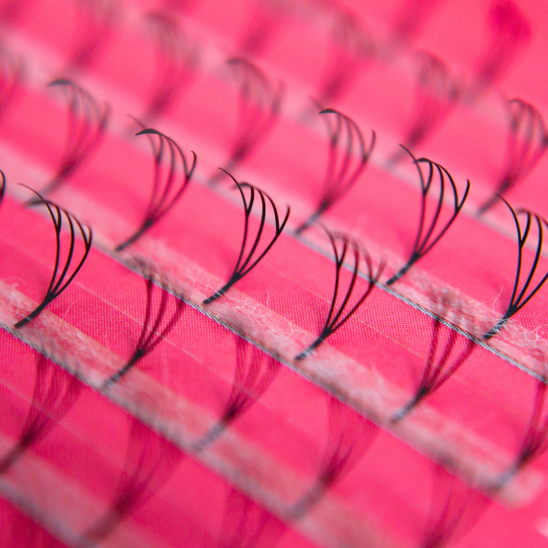 Anime Laser Lash Tray (Boxing Day)