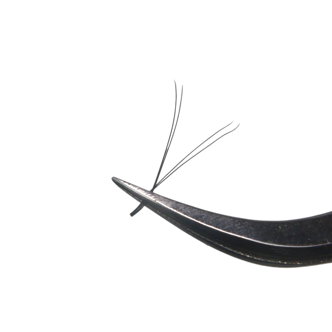 YY Lash Tray (Boxing Day)