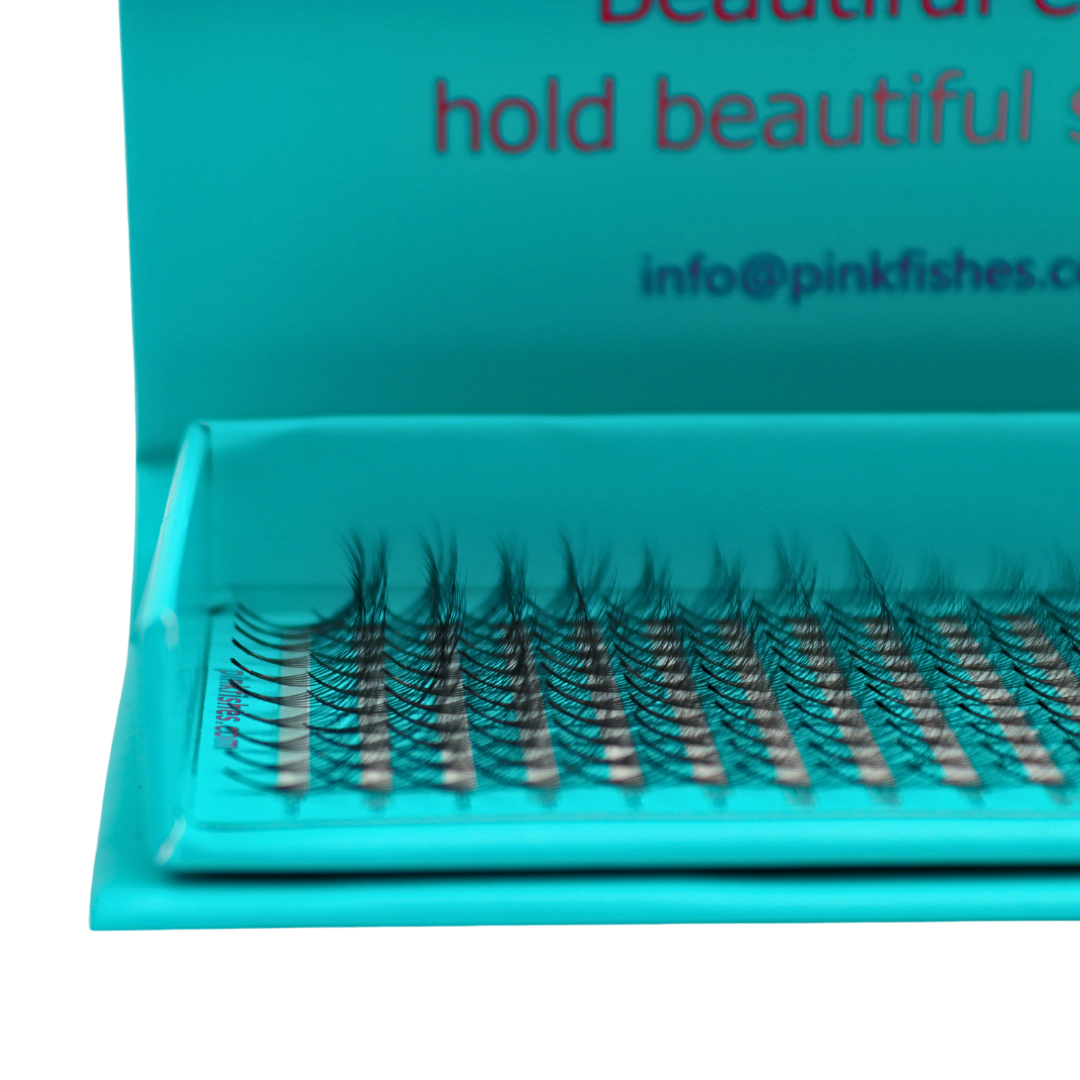 Double Layered Fans Lash Tray 6D Blue Tray Black Lashes (Clearance)