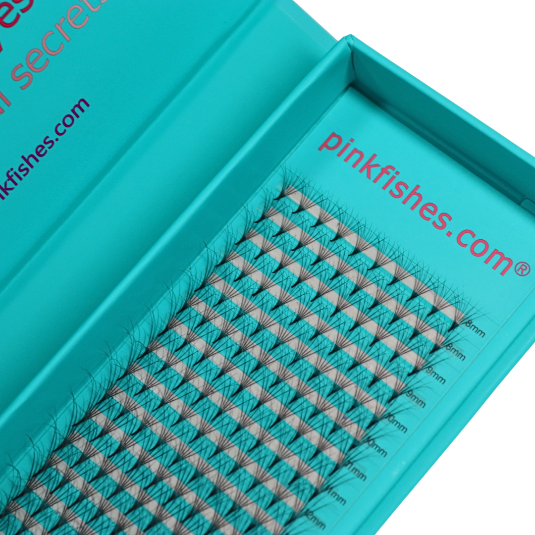 Double Layered Fans Lash Tray 6D Blue Tray Black Lashes (Clearance)