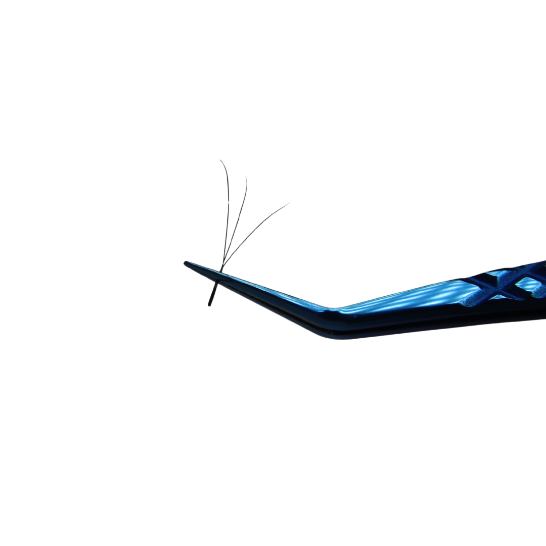 Slanted Fox 3DW Lash Tray (Boxing Day)