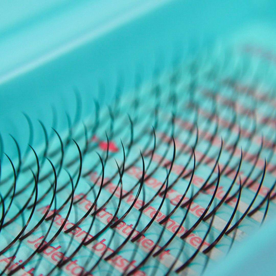 Pre-Made Spikes (Boxing Day)