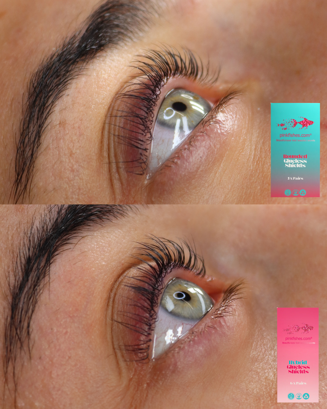 Rounded Glueless Shields